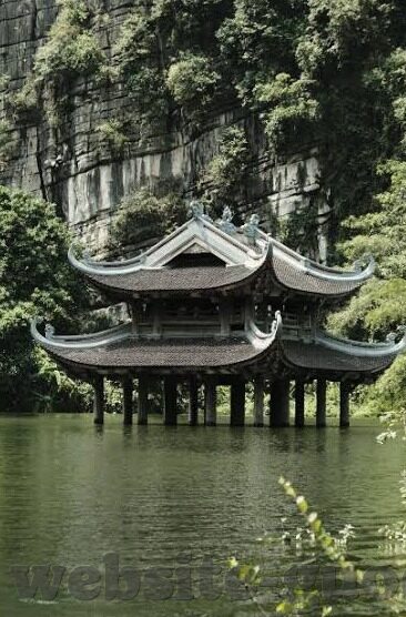 大象传媒app下载ios-探索大象传媒app，iOS平台的娱乐新选择