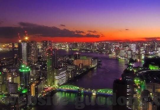 大象传媒 米欧-探索米欧与大象传媒的非凡旅程，创意与责任的交响曲