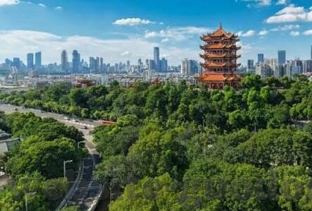 火箭视频成人-火箭视频，成人娱乐的数字化新篇章