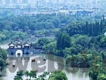 麻豆传媒在线观看网站-勿越界探索，警惕网络陷阱与安全