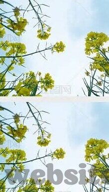 麻豆文化传媒app官方入口-深入互联网文化探秘，麻豆文化传媒APP官方入口的多元体验